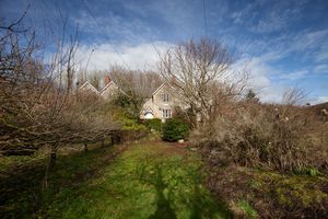 Garden- click for photo gallery